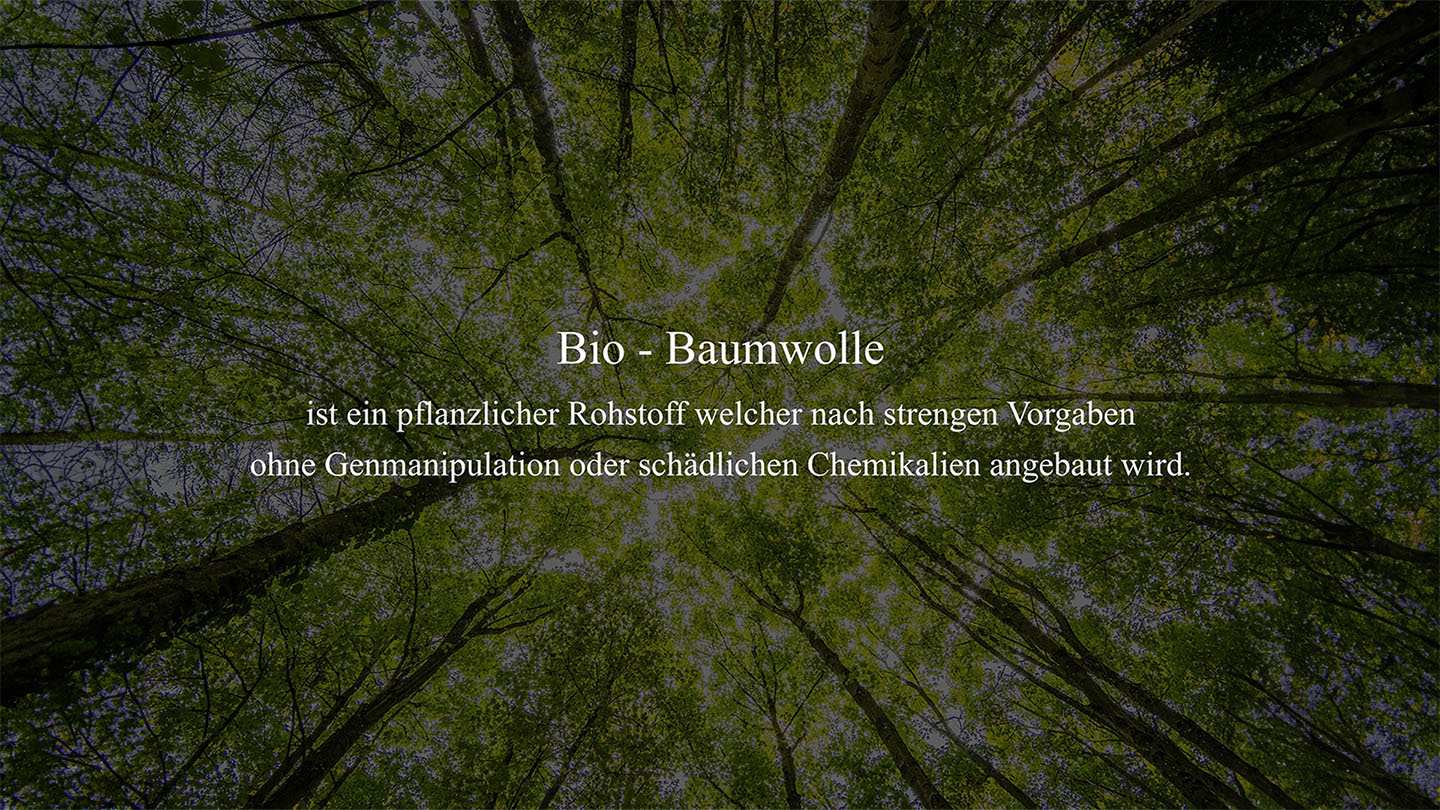 Nachhaltigkeit bei Vitamorte: Stilvoll, Modern und Umweltbewusst